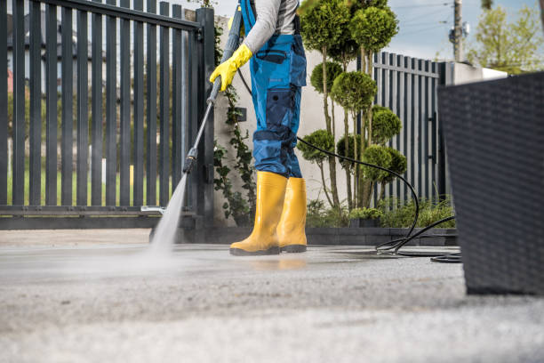 Best Roof Pressure Washing  in Punxsutawney, PA